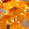 4ft. Pre-Lit Autumn Maple Artificial Fall Tree with 180 Warm White LED Lights